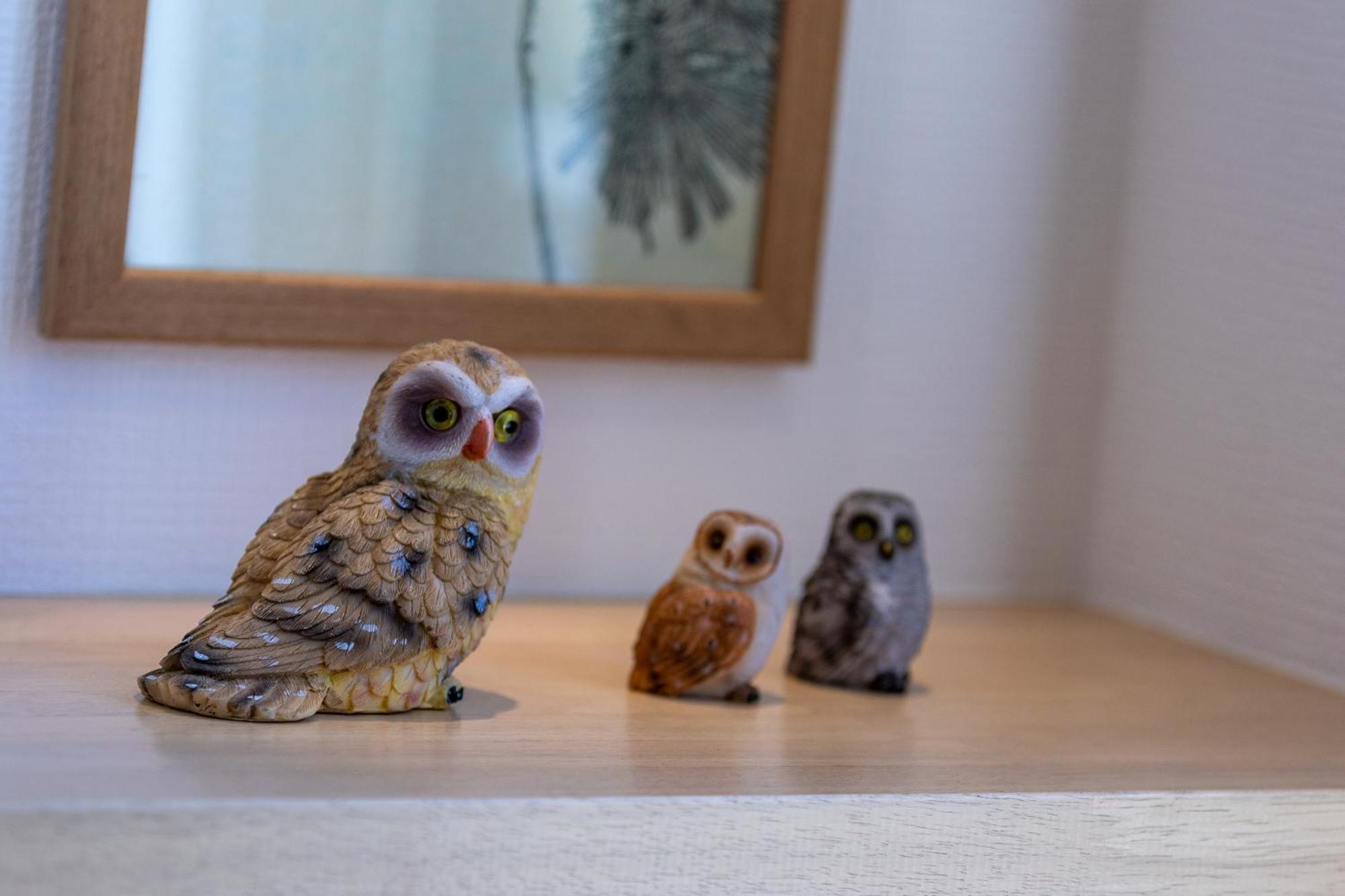 הוילה קוטצ'אן Owl House Niseko מראה חיצוני תמונה